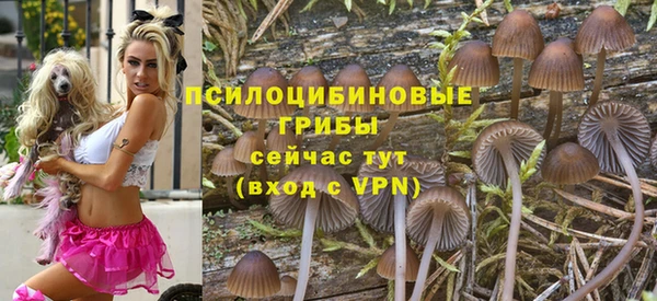 хмурый Алексеевка
