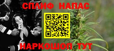 mdpv Заводоуковск