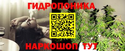 PSILOCYBIN Заволжье