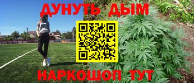 PSILOCYBIN Заволжье