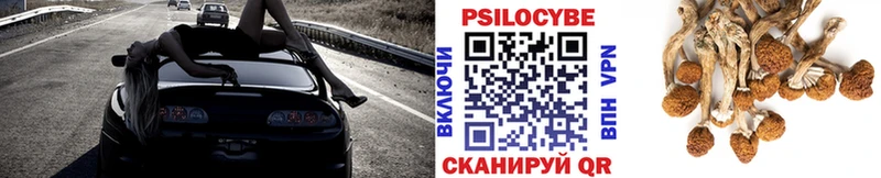 купить   Нурлат  Псилоцибиновые грибы мухоморы 