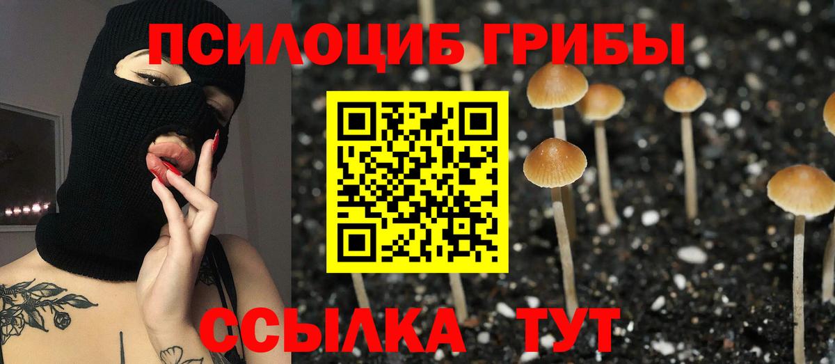 Нурлат  наркотики  Вход с VPN  Псилоцибиновые грибы мицелий 